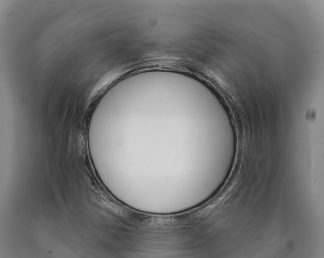 X0000090921354200707301045
