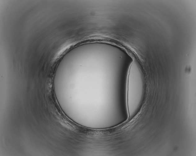 X0000090921355200707301045