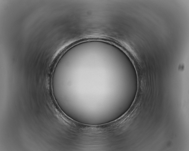 X0000090921356200707301045