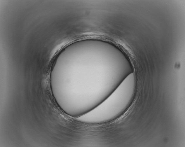 X0000090921357200707301045