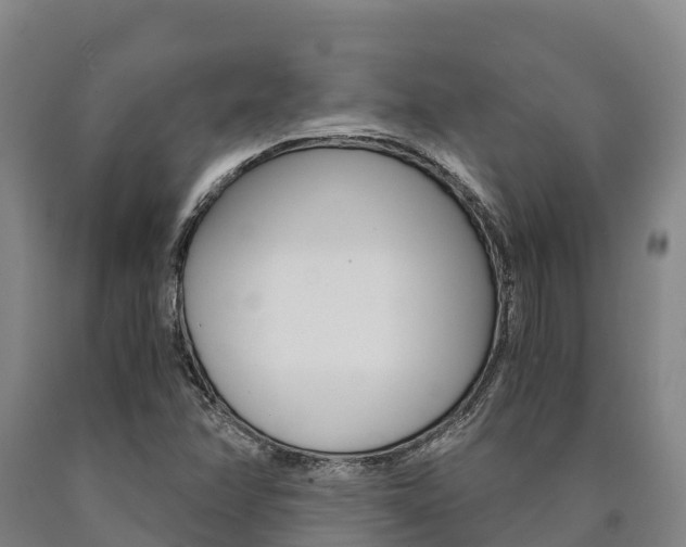 X0000090921358200707301045