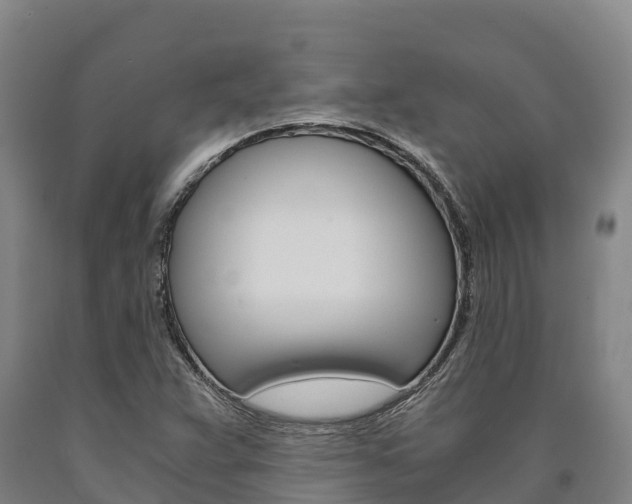 X0000090921359200707301045