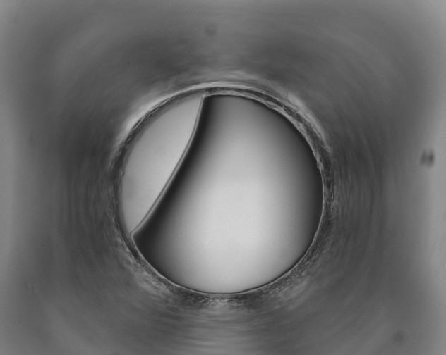 X0000090921360200707301045