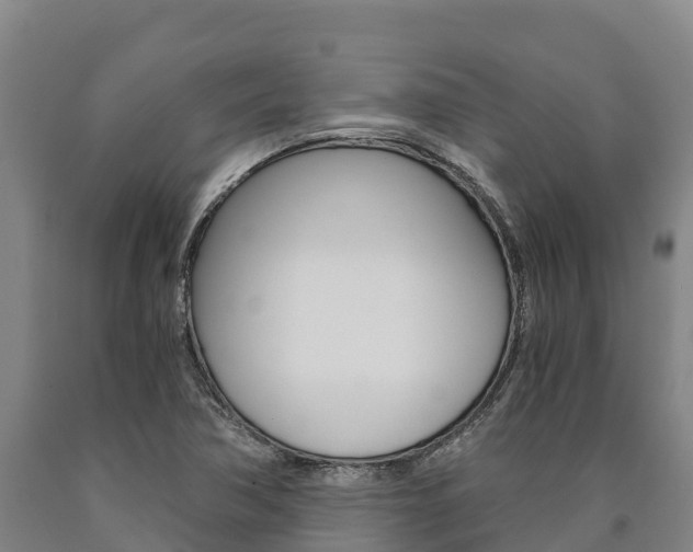 X0000090921362200707301045
