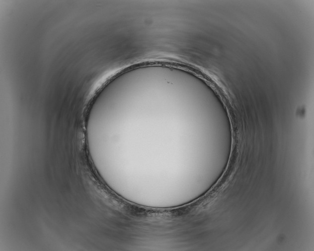 X0000090921363200707301045