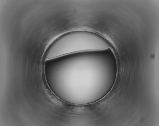 X0000090921364200707301045