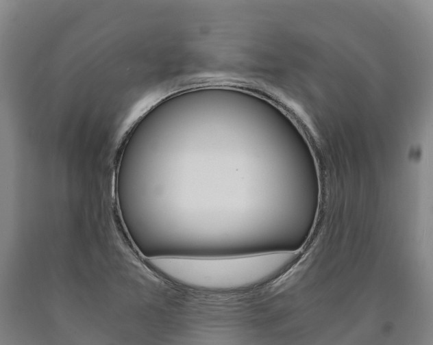 X0000090921365200707301045