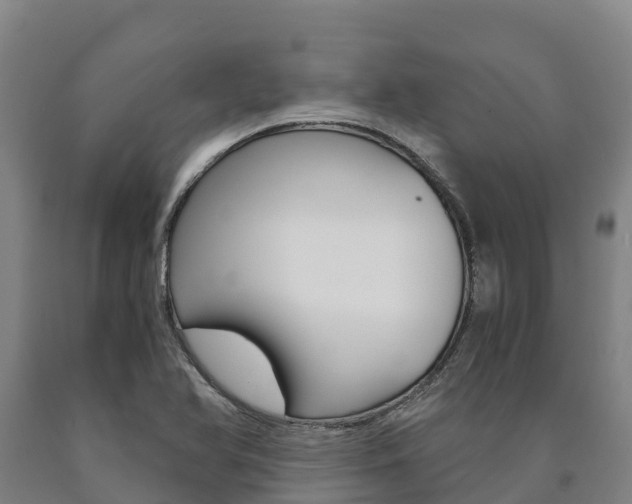 X0000090921366200707301045