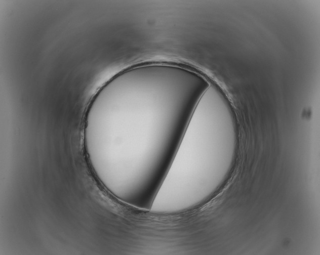 X0000090921367200707301045