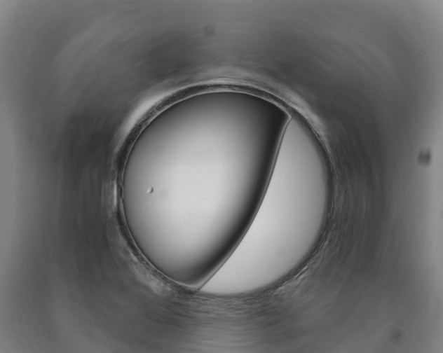 X0000090921368200707301045