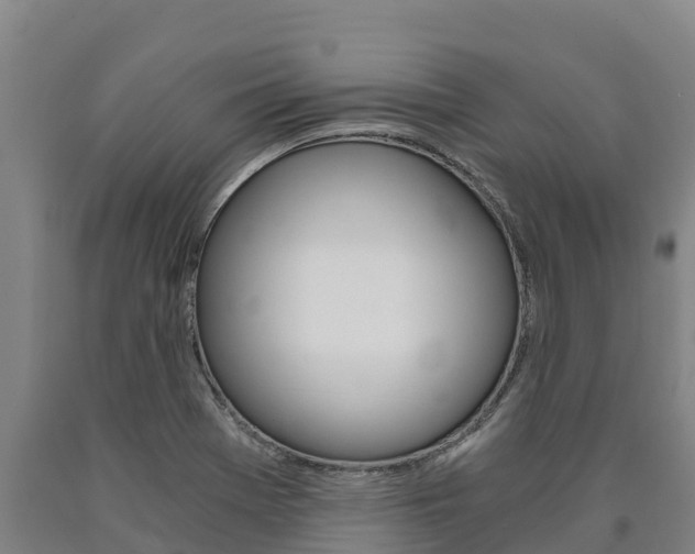 X0000090921369200707301045