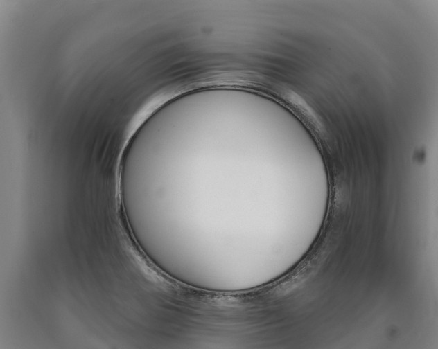 X0000090921370200707301045