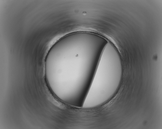 X0000090921371200707301045