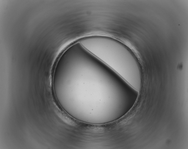 X0000090921372200707301045