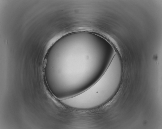 X0000090921373200707301045