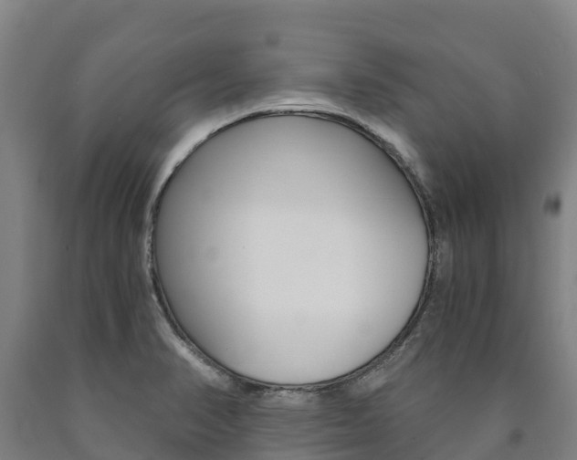 X0000090921374200707301045