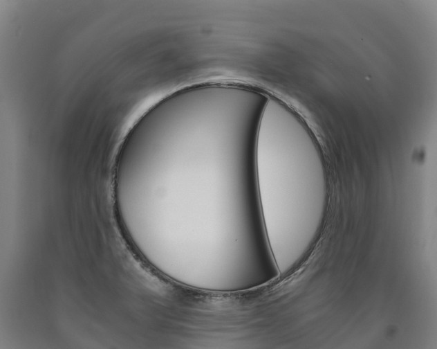 X0000090921375200707301045
