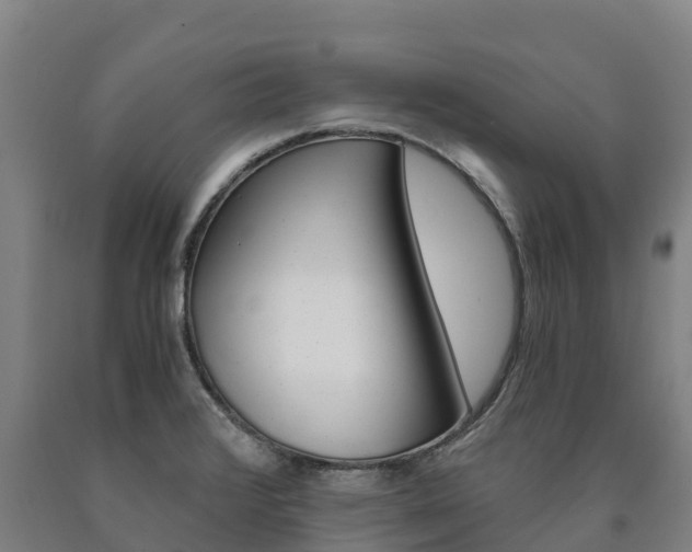 X0000090921376200707301045