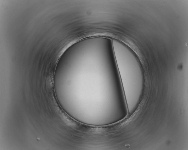 X0000090921377200707301045
