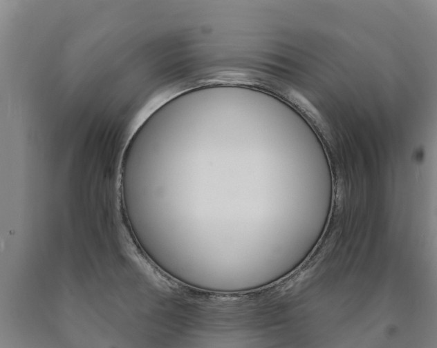 X0000090921378200707301045