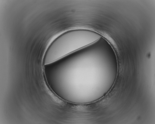 X0000090921380200707301045
