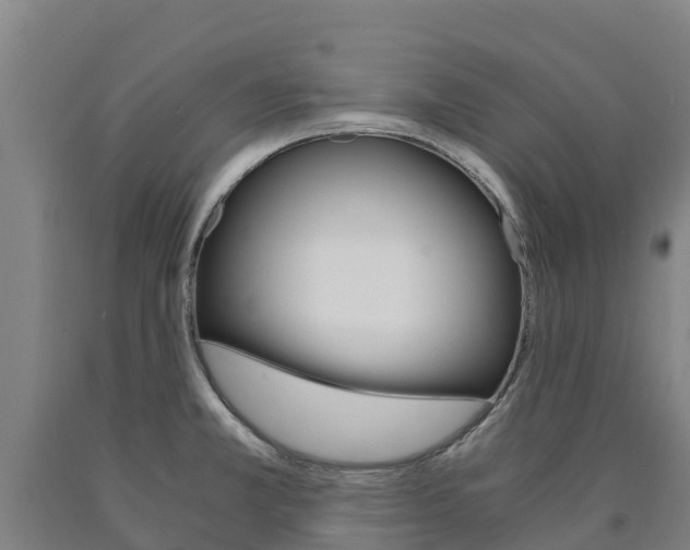 X0000090921381200707301045