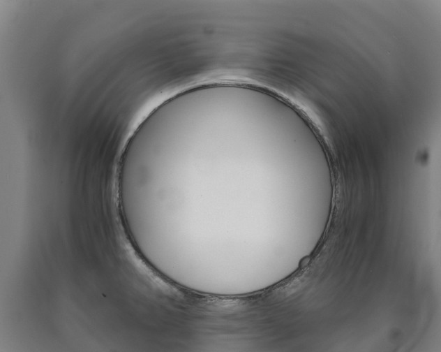 X0000090921382200707301045