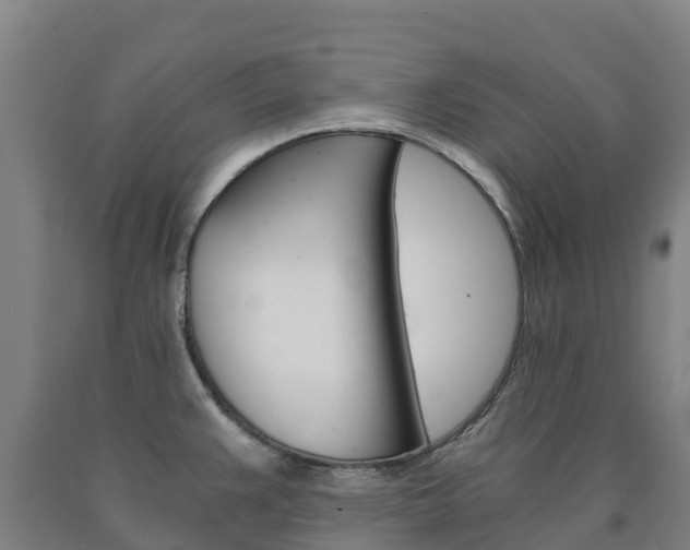 X0000090921383200707301045