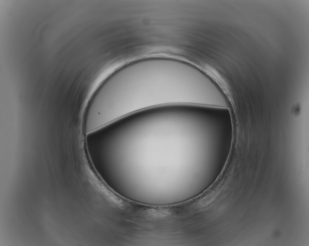 X0000090921384200707301045