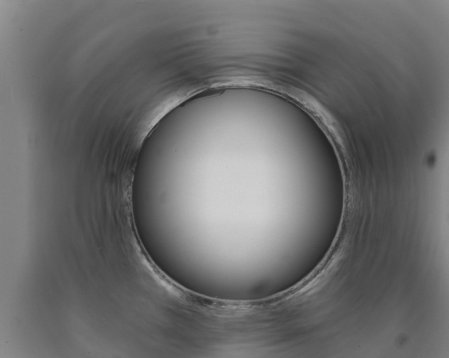 X0000090921385200707301045