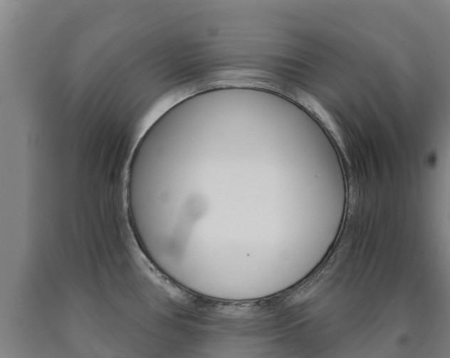 X0000090921386200707301045