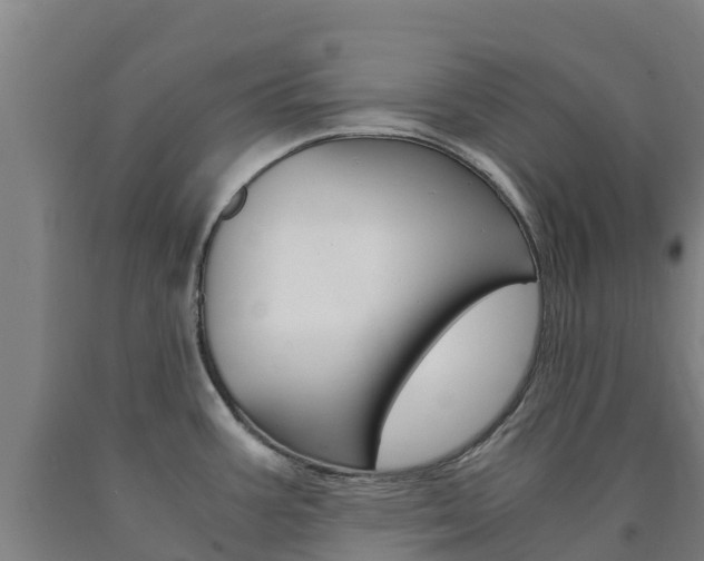 X0000090921387200707301045