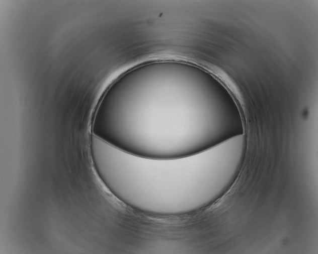 X0000090921388200707301045