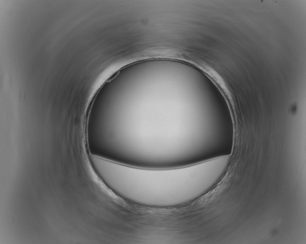 X0000090921389200707301045