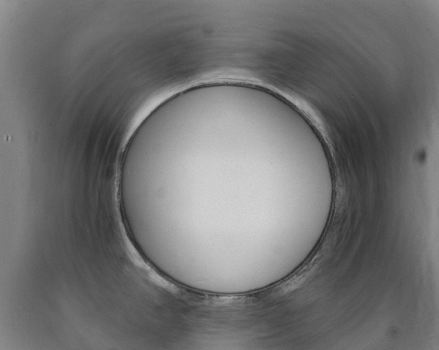 X0000090921390200707301045