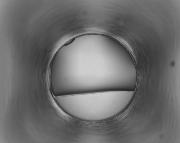 X0000090921391200707301044