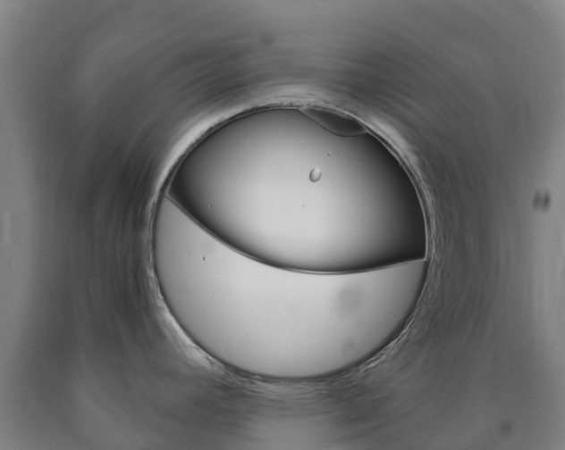 X0000090921392200707301044