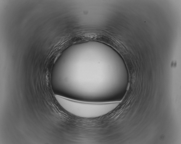 X0000090921394200707301044