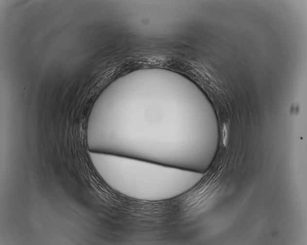 X0000090921395200707301044