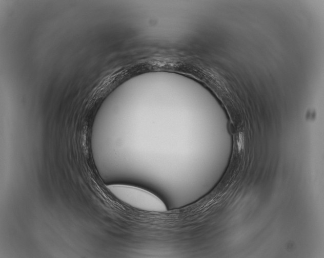 X0000090921396200707301044