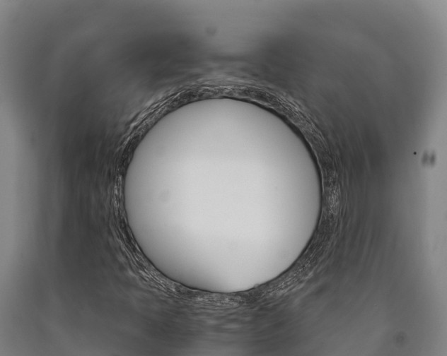 X0000090921397200707301044