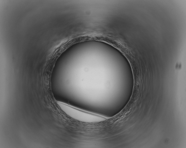 X0000090921398200707301044