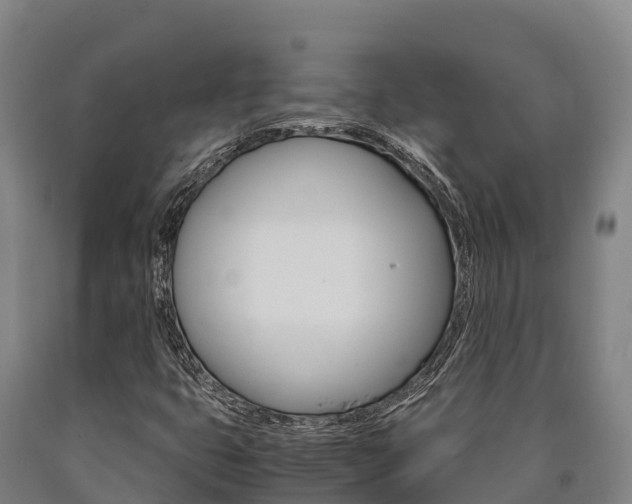 X0000090921399200707301044