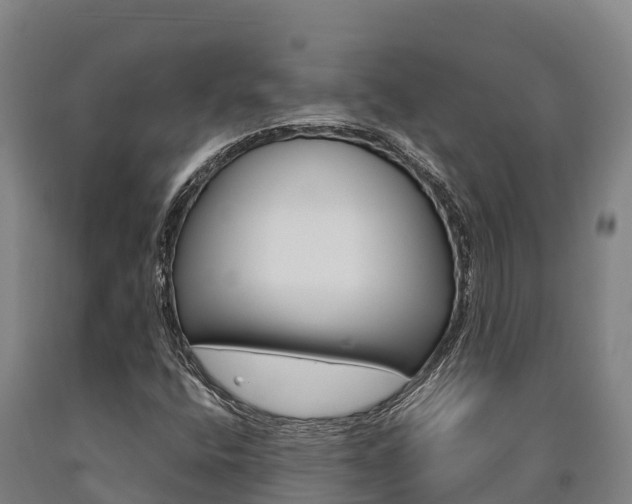 X0000090921400200707301044