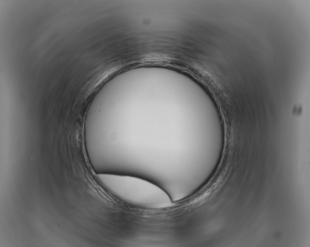 X0000090921401200707301044