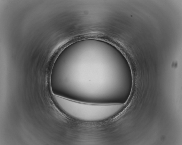 X0000090921402200707301044