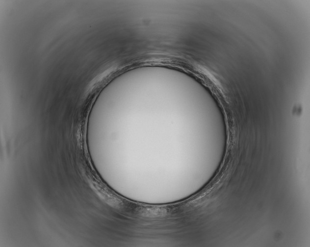 X0000090921403200707301044