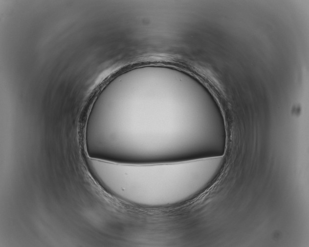 X0000090921404200707301044