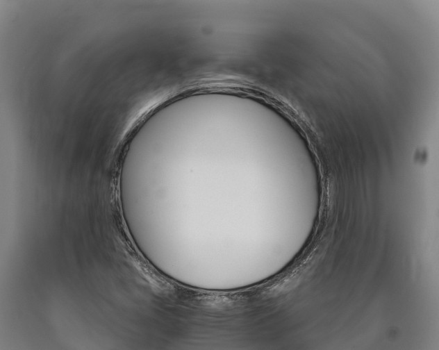 X0000090921405200707301044