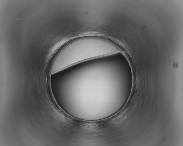 X0000090921406200707301044